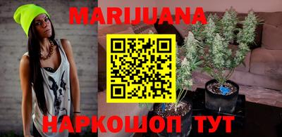гидропоника Тверь
