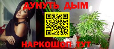гидропоника Тверь